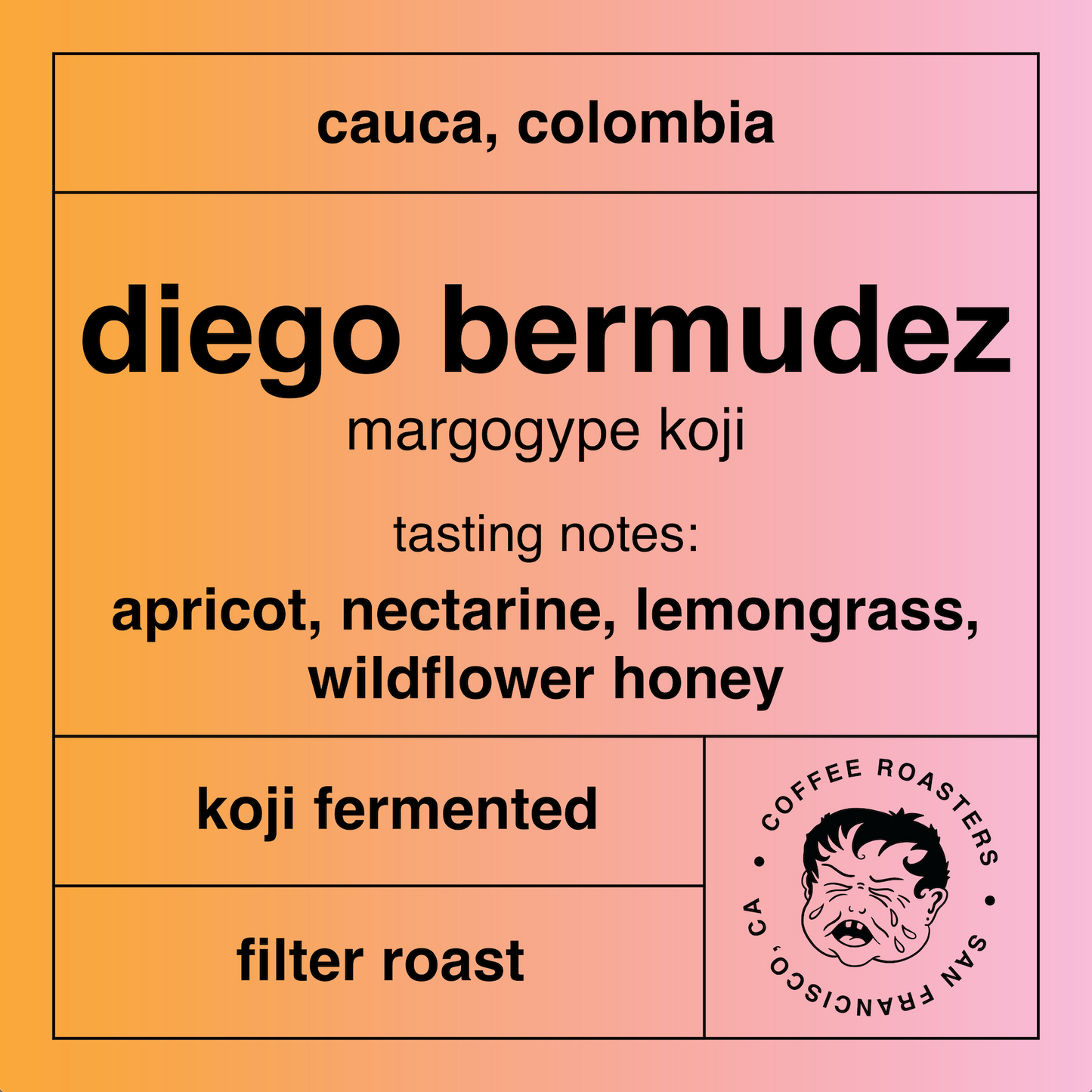 Diego Bermudez - Koji Fermented Margogype